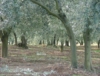 Ulivi della Sabina- www.oliomei.com