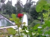 Vista dei giardini dall'alto - foto G. Pace