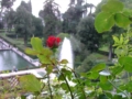 Vista dei giardini dall'alto - foto G. Pace