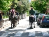 L'arrivo dei cavalli