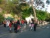 Il pubblico di Gusto