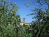 Farfa tra gli ulivi (foto fabrizio Mei)