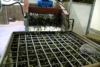Le olive dopo il lavaggio si avviano alla frangitura