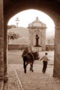 Foto Luigi Bargellini
