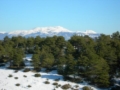 Foto di Giuseppe Albrizio