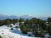 Foto di Giuseppe Albrizio