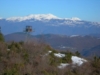 Foto di Giuseppe Albrizio