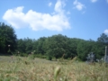 Prati di Cottanello foto Mei Fabrizio