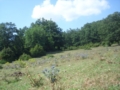 Prati di Cottanello foto Mei Fabrizio