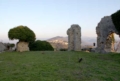Basilica di Berardo II interno - foto Giorgio Pace