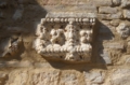 COTTANELLO  SCORCIO