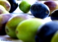 Olive - Foto Giorgio Pace