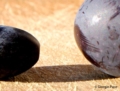 Olive - Foto Giorgio Pace