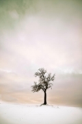 LONELY Photography: Marcello Gori © tutti i diritti riservati