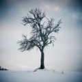 LONELY Photography: Marcello Gori © tutti i diritti riservati