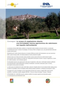 "Le acque di vegetazione olearie": Convegno a Scandriglia 10 gennaio 2009