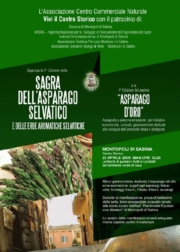 Sagra dell'asparago a Montopoli di Sabina 25 aprile 2009