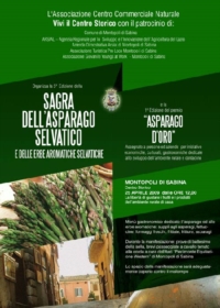 Sagra dell'asparago a Montopoli di Sabina 25 aprile 2009 Sagra dell'asparago a Montopoli di Sabina 25 aprile 2009