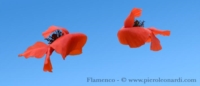 mostra fotografica di Piero Leonardi: ‘Butterflowers’, dal  10 ottobre 2009 a Rieti