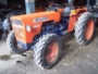 VENDO TRATTORE, AFFARONE DELFINO 35.... VENDO TRATTORE, AFFARONE DELFINO 35....