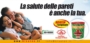 Come eliminare definitivamente le muffe, muschi e licheni presenti sui muri? Ciclo antimuffa Bisaten Come eliminare definitivamente le muffe, muschi e licheni presenti sui muri? Ciclo antimuffa Bisaten