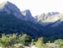 19 GIUGNO 2011 - Escursione MONTE POZZONI o Pizzuto (1904 mt.) da CITTAREALE (RI) 19 GIUGNO 2011 - Escursione MONTE POZZONI o Pizzuto (1904 mt.) da CITTAREALE (RI)