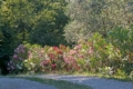The Beautiful Gardens - verde parchi giardini The Beautiful Gardens - verde parchi giardini