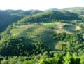 Frasso Sabino - foto G.P. tutti i diritti riservati Frasso Sabino - foto G.P. tutti i diritti riservati
