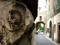 Toffia - foto G.P. tutti i diritti riservati Toffia - foto G.P. tutti i diritti riservati