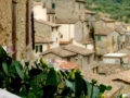 Toffia - foto G.P. tutti i diritti riservati Toffia - foto G.P. tutti i diritti riservati