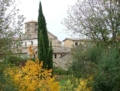 Farfa, la sua Abbazia, i prodotti tipici della Sabina - Foto G. Pace tutti i diritti riservati riproduzione vietata Farfa, la sua Abbazia, i prodotti tipici della Sabina - Foto G. Pace tutti i diritti riservati riproduzione vietata