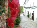 Farfa, la sua Abbazia, i prodotti tipici della Sabina - Foto G. Pace tutti i diritti riservati riproduzione vietata Farfa, la sua Abbazia, i prodotti tipici della Sabina - Foto G. Pace tutti i diritti riservati riproduzione vietata