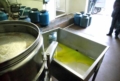 Ed ecco l'olio nuovo che esce, verde e profumato Ed ecco l'olio nuovo che esce, verde e profumato