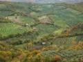Foto Luca Bellincioni - tutti i diritti riservati Foto Luca Bellincioni - tutti i diritti riservati