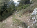 Foto Fabrizio Mei - MTB Tancia Foto Fabrizio Mei - MTB Tancia