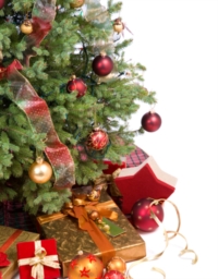 Natale con noi... Nazzano (Rm) dall'8 dicembre Natale con noi... Nazzano (Rm) dall'8 dicembre
