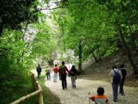 ESCURSIONE CONFIGNI-SPECO FRANCESCANO DI NARNI Domenica 5 settembre ESCURSIONE CONFIGNI-SPECO FRANCESCANO DI NARNI Domenica 5 settembre