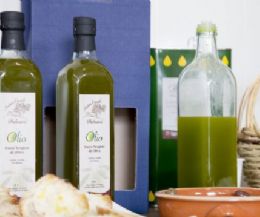 Locandina: IL FRANTOIO PALMIERI OFFRE LA POSSIBILITA' DI ACQUISTO DELL'OLIO NOVELLO DIRETTAMENTE ALLA SPREMITURA