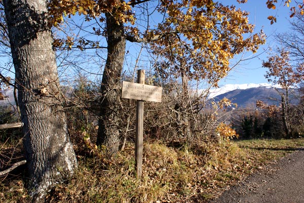 Sul Cammino di Francesco -  foto Giorgio Pace