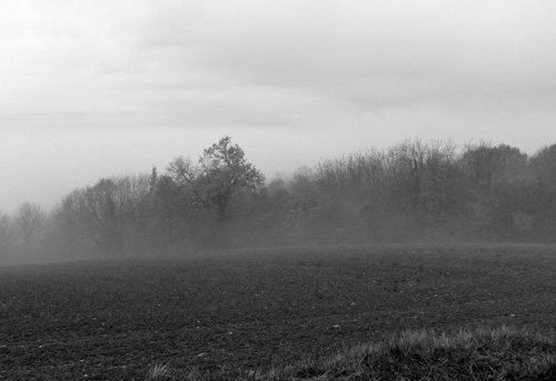 La Piana avvolta dalla nebbia - Foto Giorgio Pace, tutti i diritti riservati