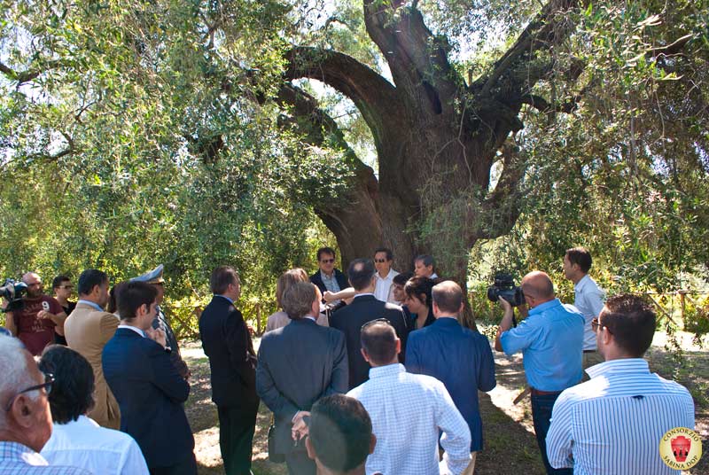 Gli ospiti sotto l'olivo millenario di Canneto Sabino
