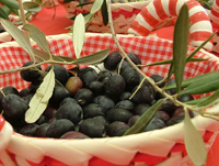 Andar per olio e per cultura 2007 - Canneto e Coltodino (Fara in Sabina) 1-9 dicembre 2007