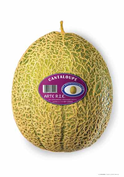 Torna ARTE r.i.e. – Rassegna di Ipotesi Espressive Cantalupo in Sabina dall'11 al 14 setembre 2008