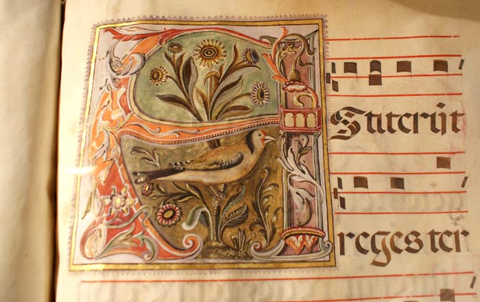 La Biblioteca di Farfa arriva sul web con un nuovo sito: www.bibliotecafarfa.it