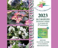 Locandina: Festa delle Ortensie