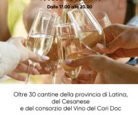 Locandina: La strada del vino a Castel Romano