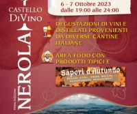 Locandina: Castello Divino