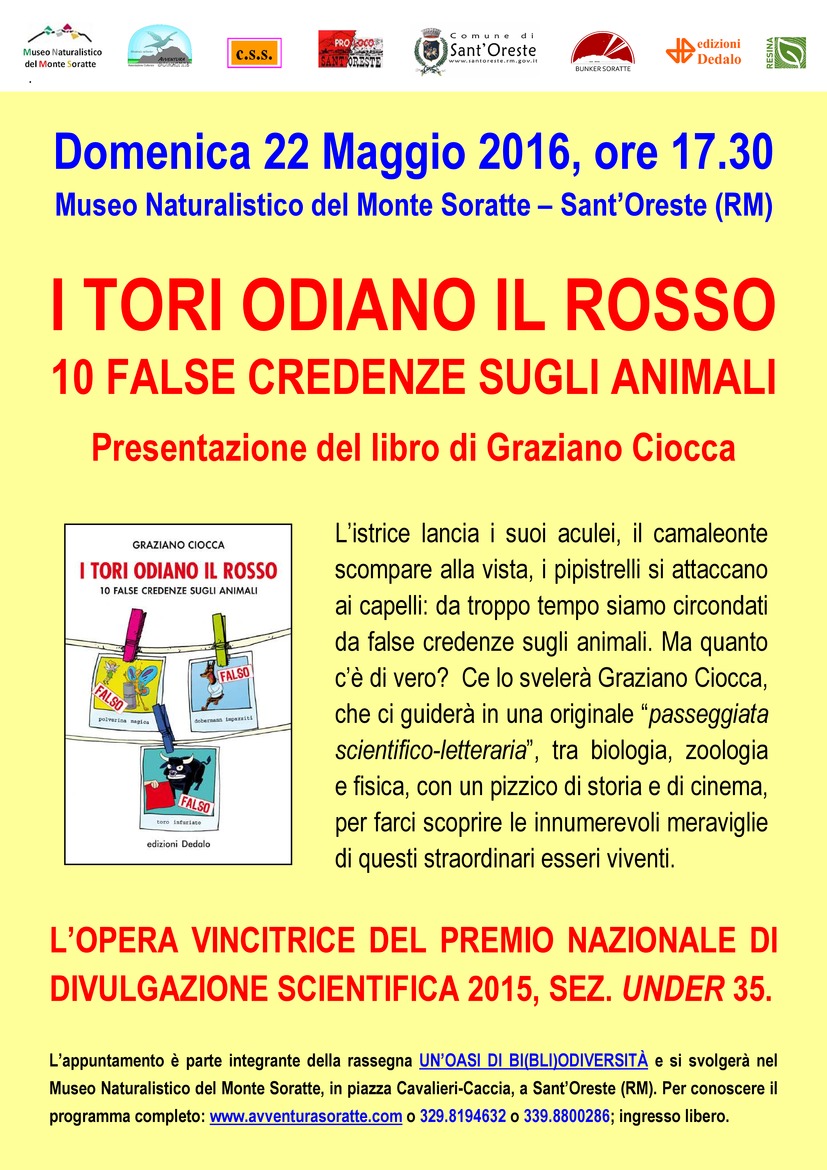 Perchè I Tori Odiano Il Rosso
