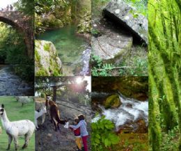 Locandina: Trekking in Sabina
