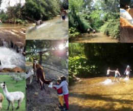 Locandina: Una piacevole, fresca e sorprendente escursione